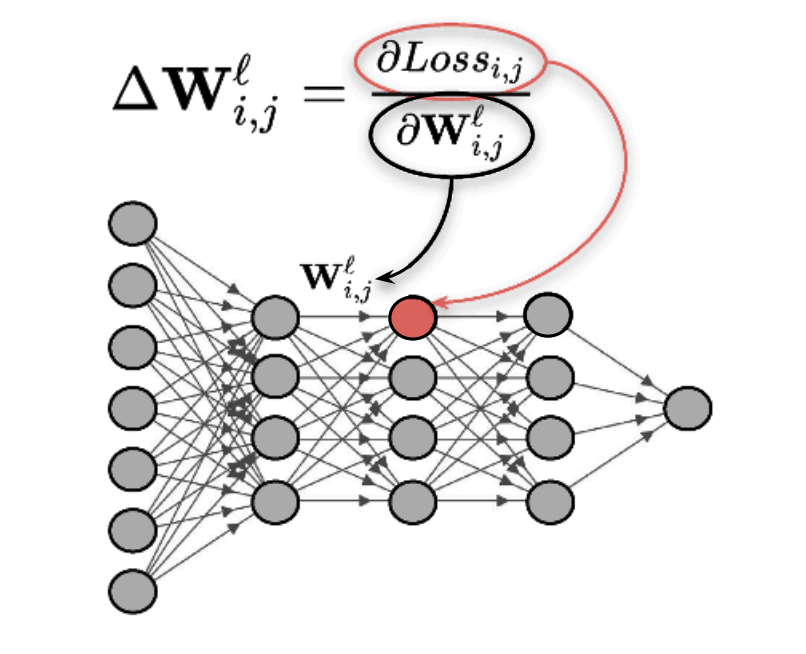 Predictive Coding Model Structure